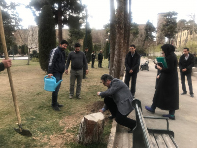 درختکاری