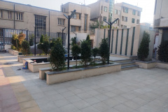 تصویر شماره ۱۵